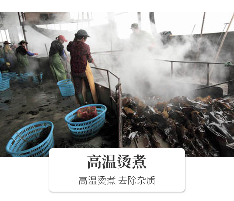 海带结_05.jpg