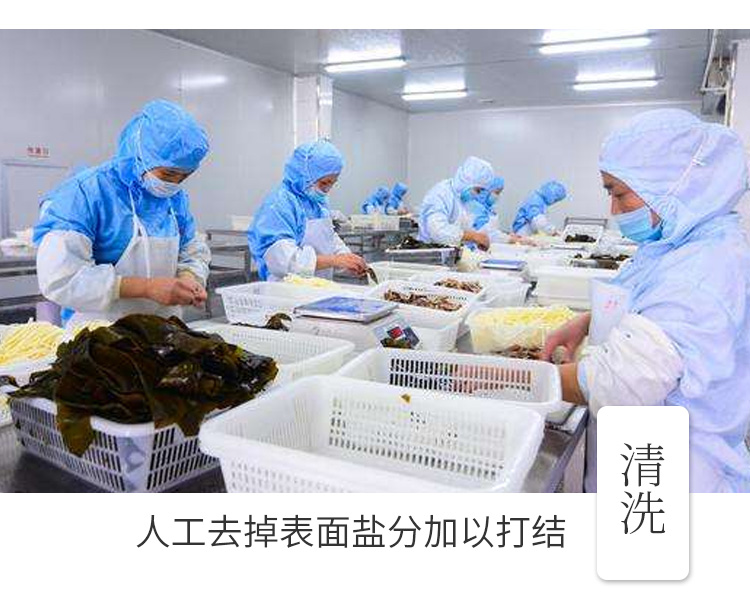 海带结_07.jpg
