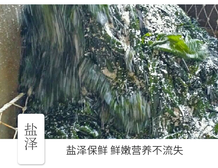 海带结_06.jpg