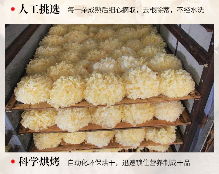 银耳_05.jpg